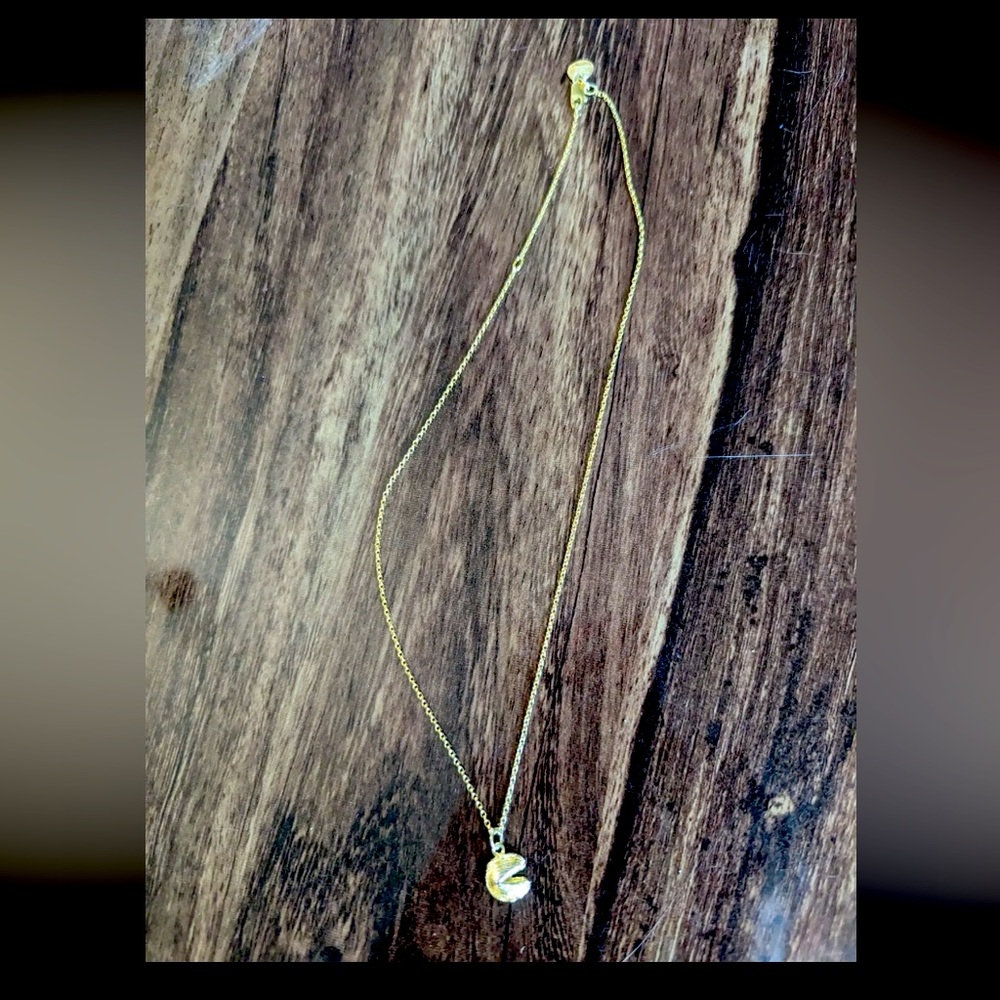 Fortune and Frame Mini fortune Cookie Necklace